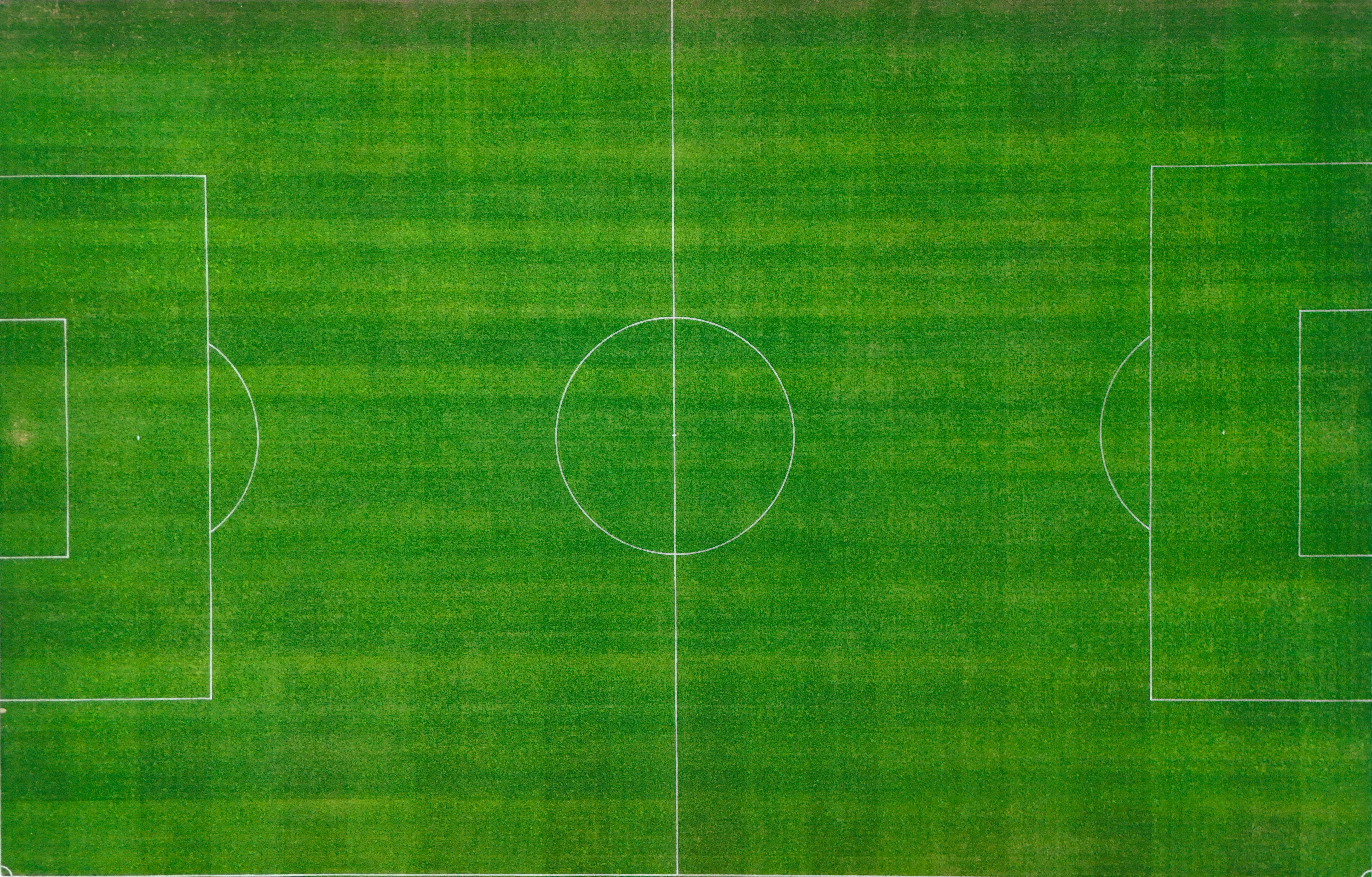 Césped de la cancha